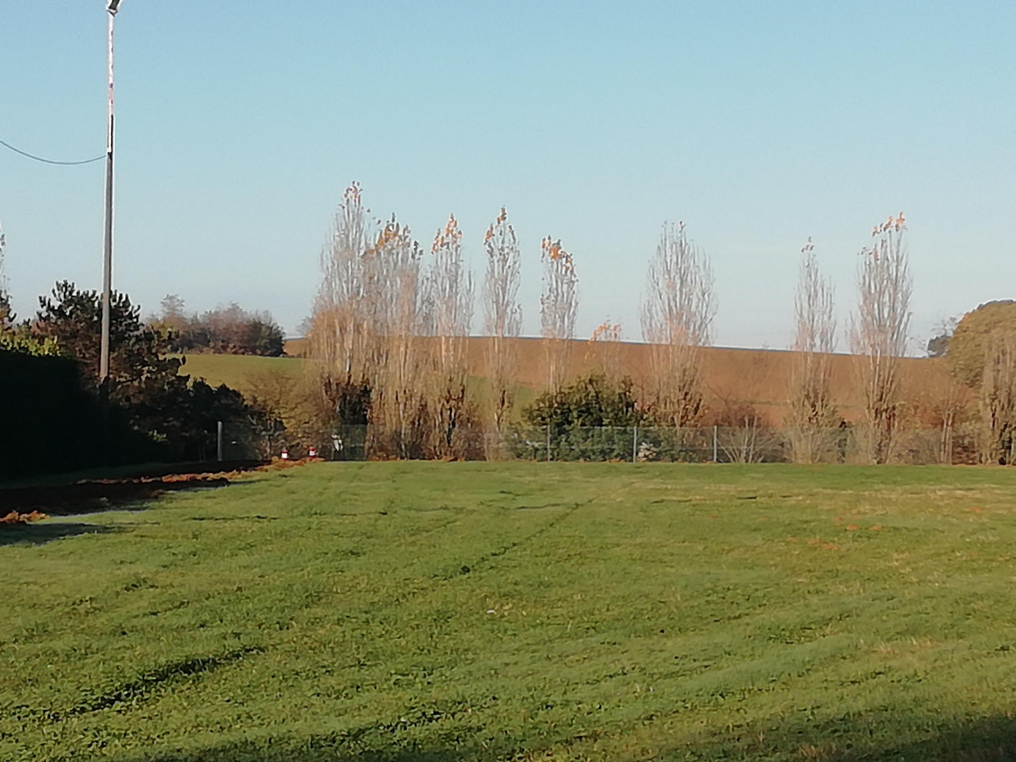 Pre-paration-terrain-grillage-Ouest