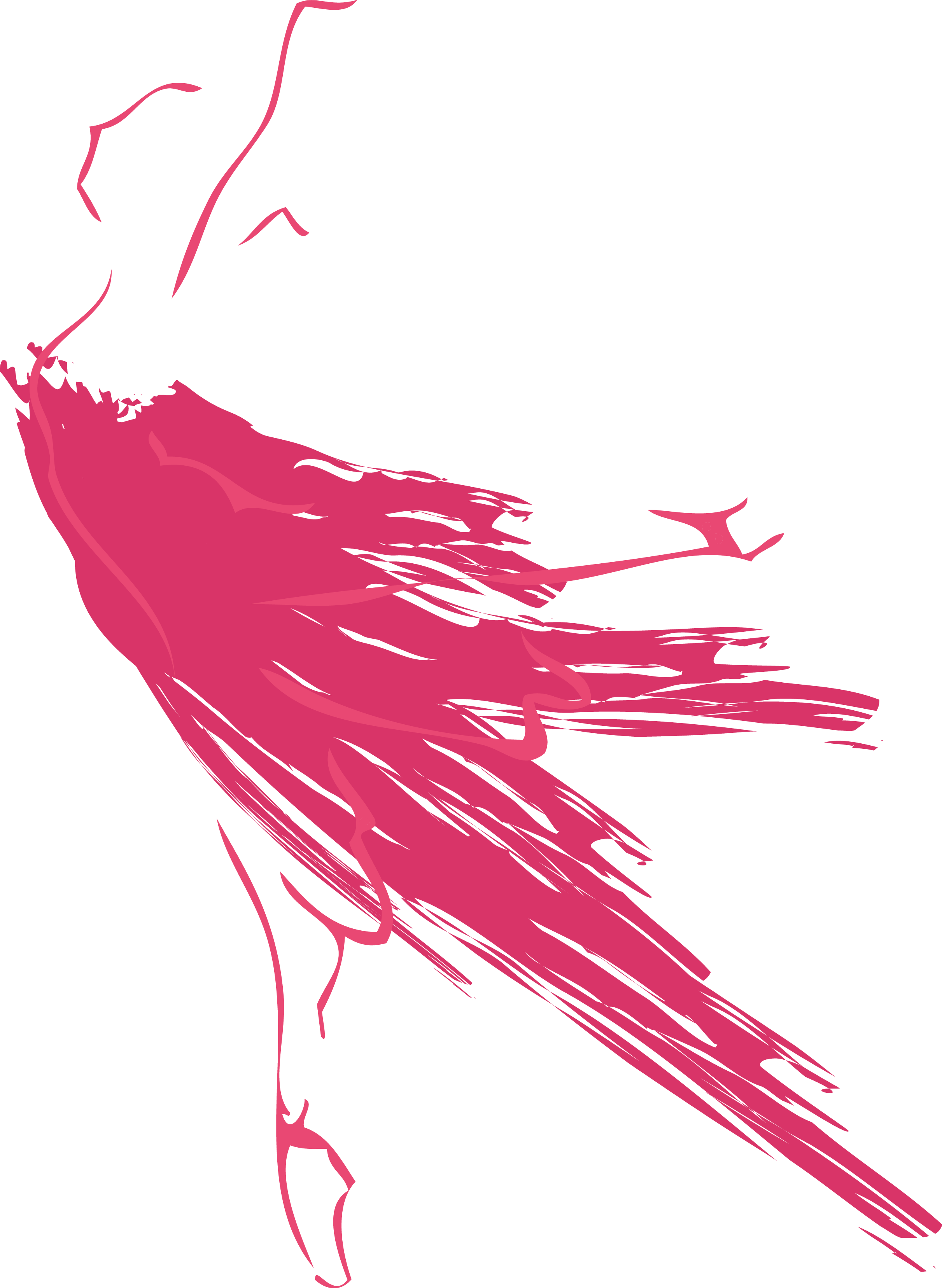 Danseuse