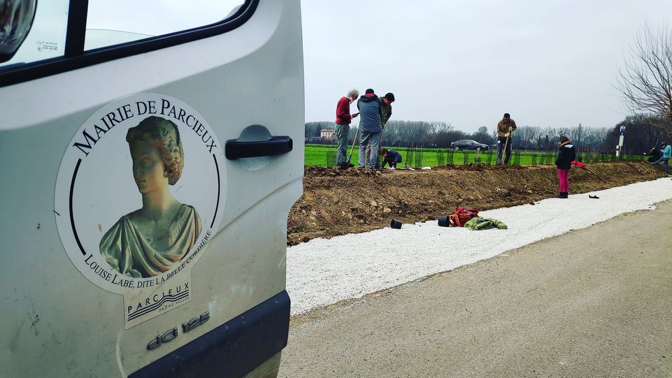 Plantation à Parcieux samedi 29 janvier matin 