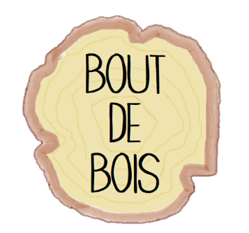 Logo-bout-de-bois-detoure-essai-5-paint-3D