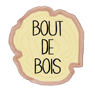 Logo-bout-de-bois-detoure-essai-5-paint-3D