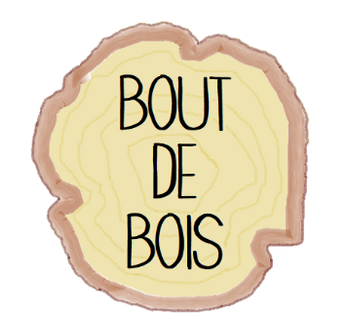 Logo-bout-de-bois-detoure-essai-5-paint-3D