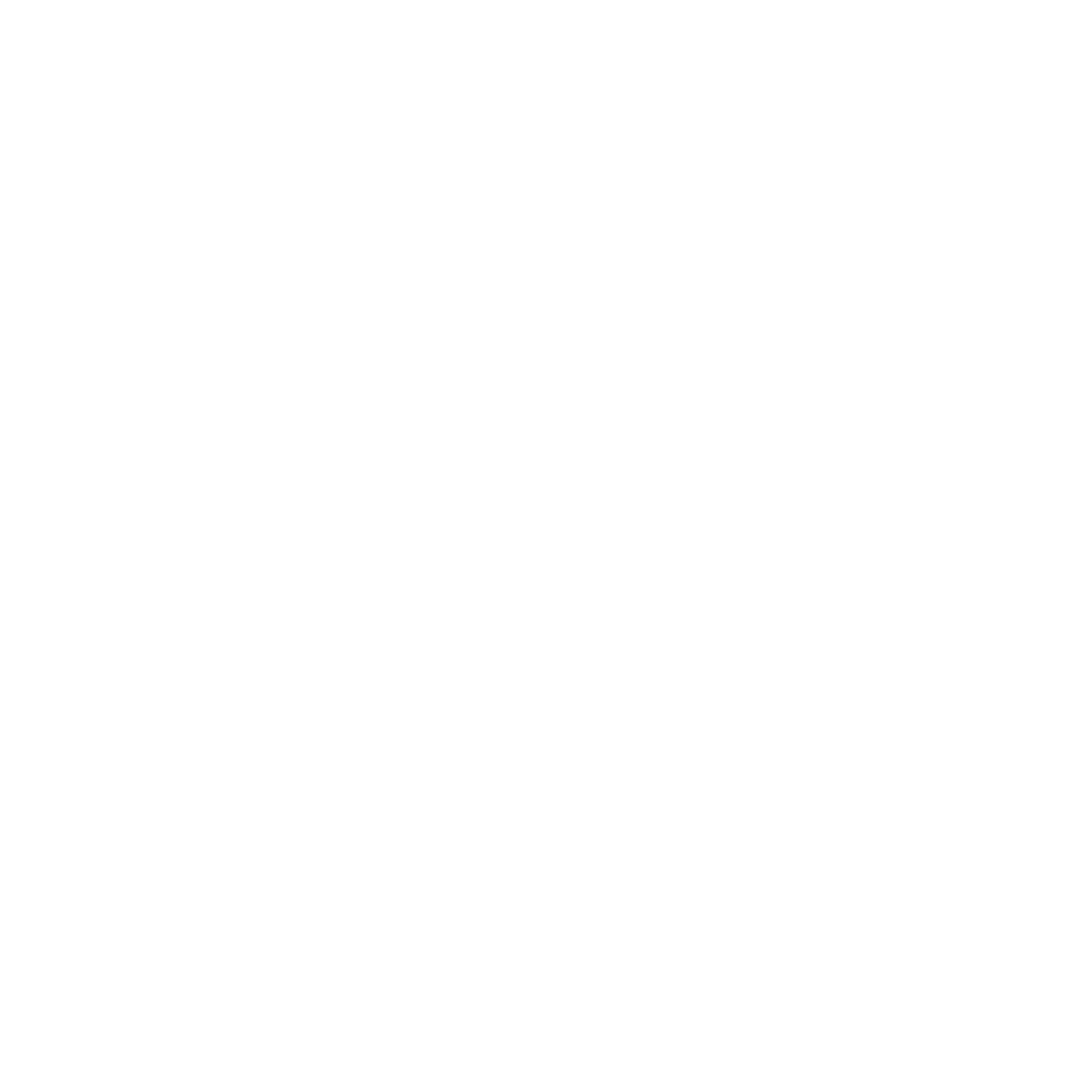 FFM-Logo-Solo-Solo-White