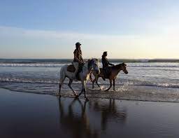 Le-gite-de-la-Joubretiere-Vendee-St-Gilles-Croix-de-Vie-ballades-a-cheval