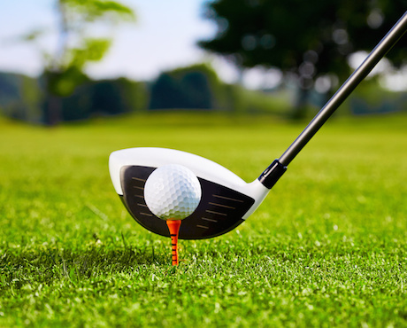 Gite-de-la-Joubretiere-St-Gilles-Croix-de-Vie-Vendee-Golf
