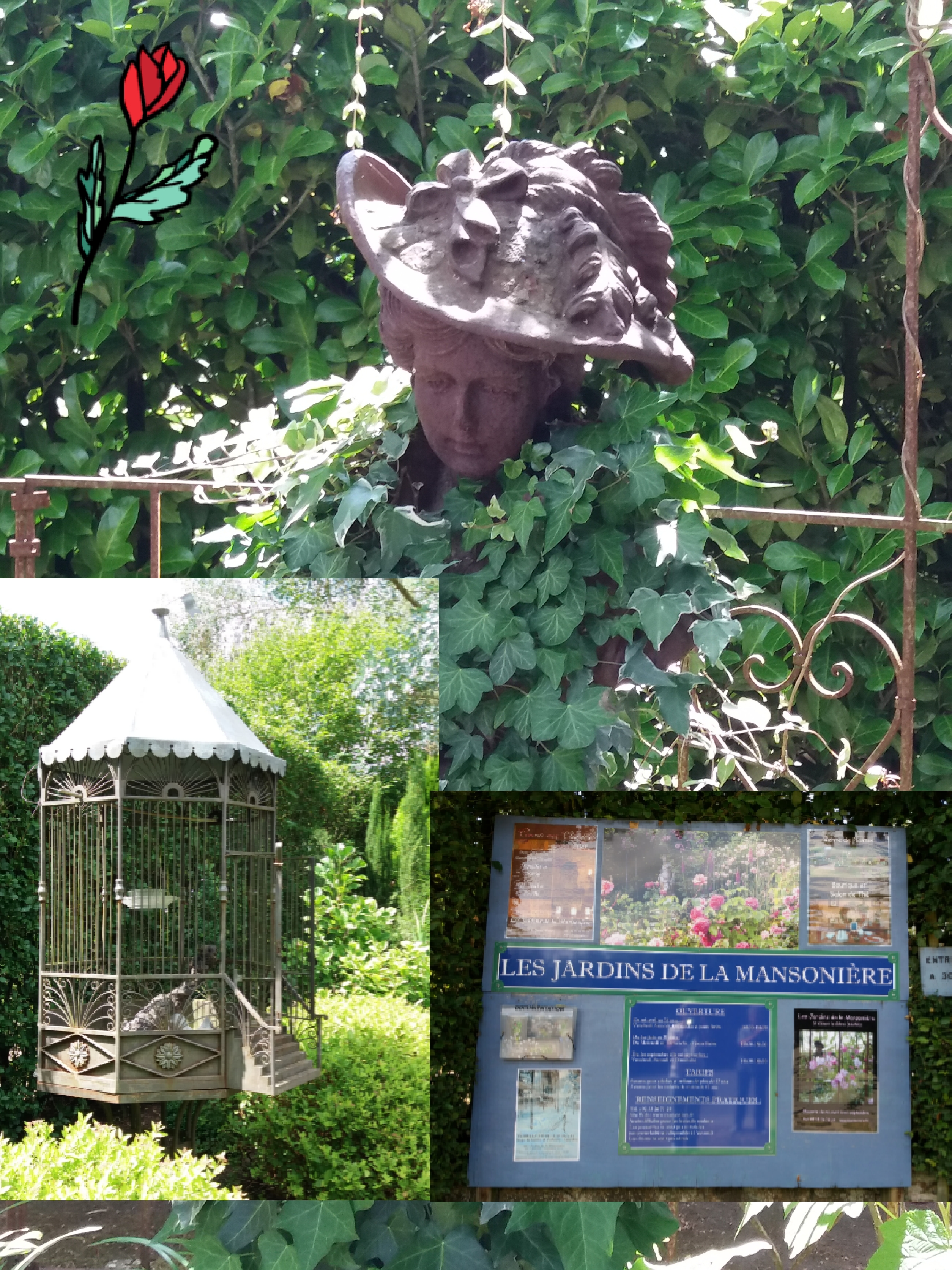 Jardin