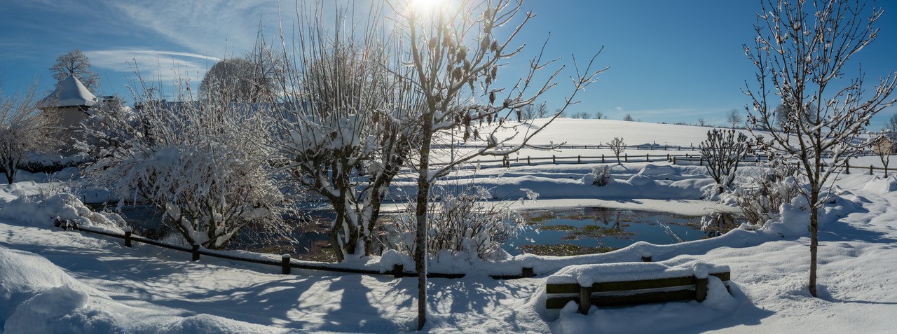 Etang sous la neige