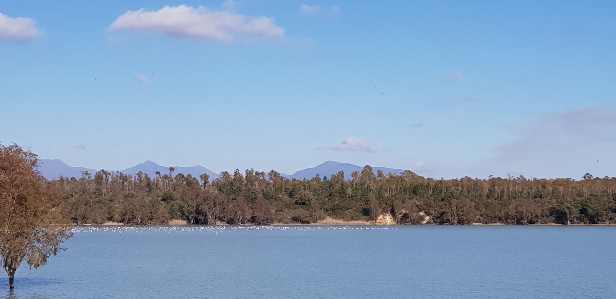 Img 20220203 212108 01