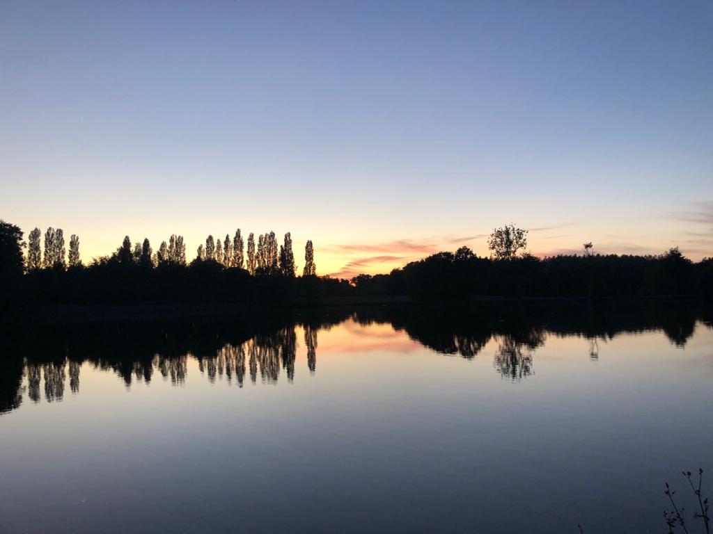 Img 20220105 wa0001