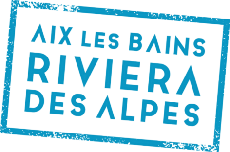 Tampon-Aix-Bleu-vectorise