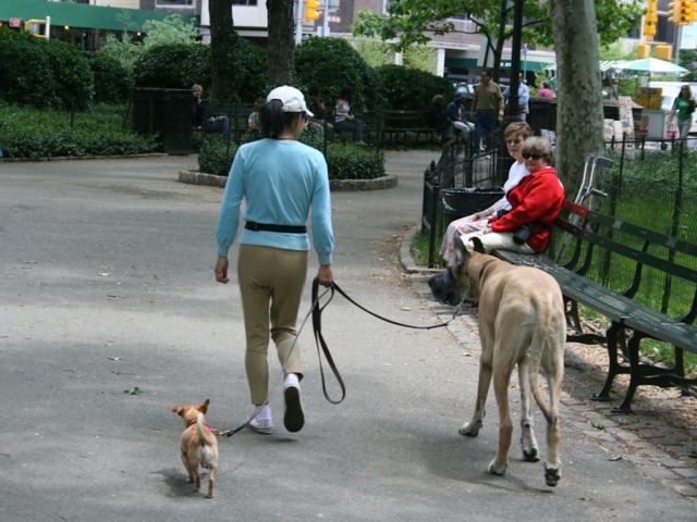 Promenade en ville 