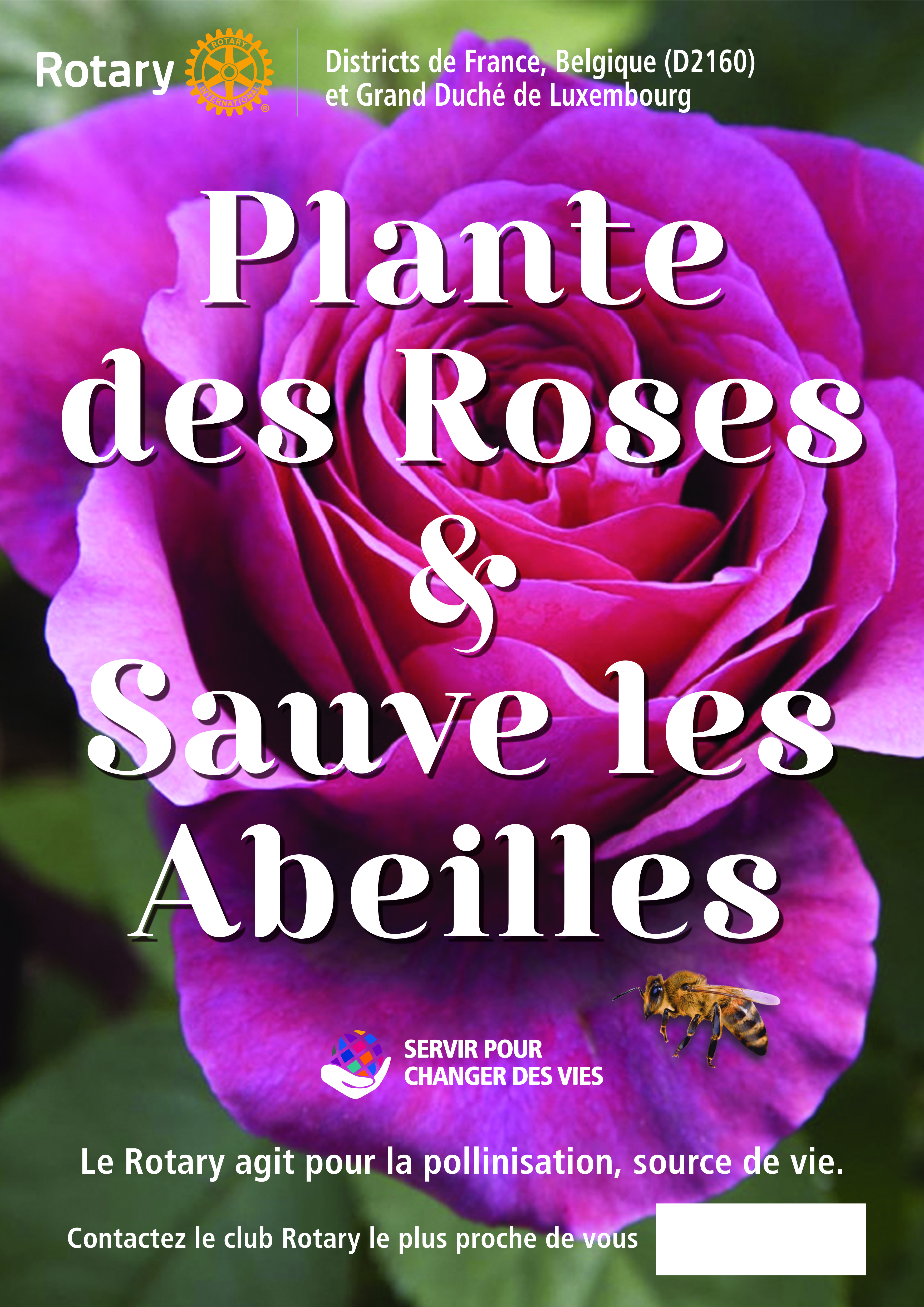 Une-rose-une-ruche-a3-v4