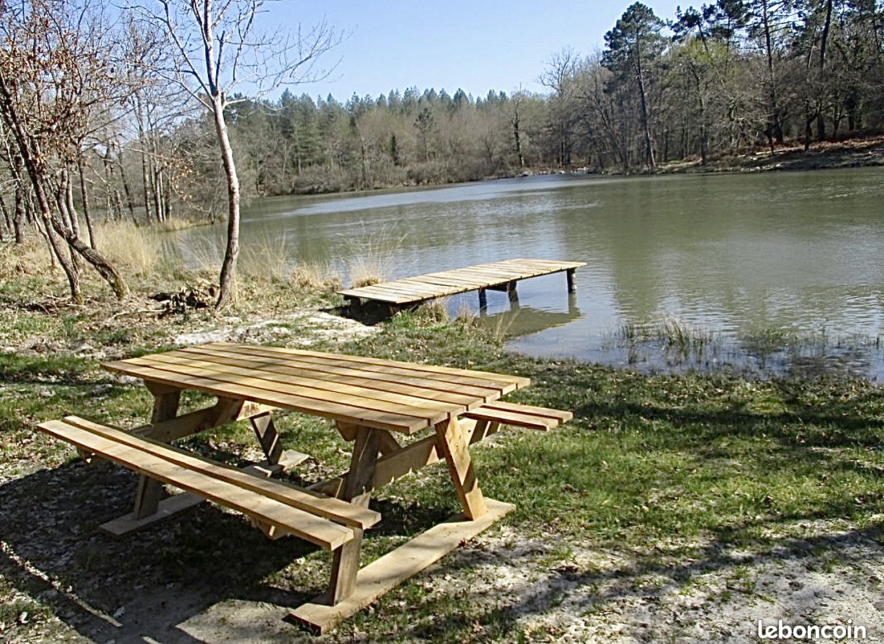IMG 3665-1-