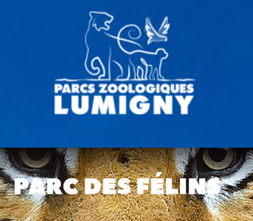 Logo-parc-des-felins