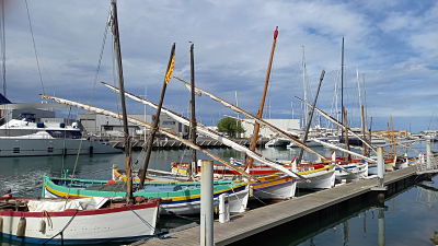 Barques opt