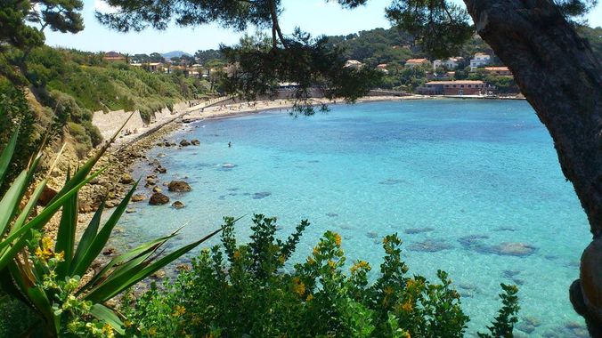 Plade de portissol 2