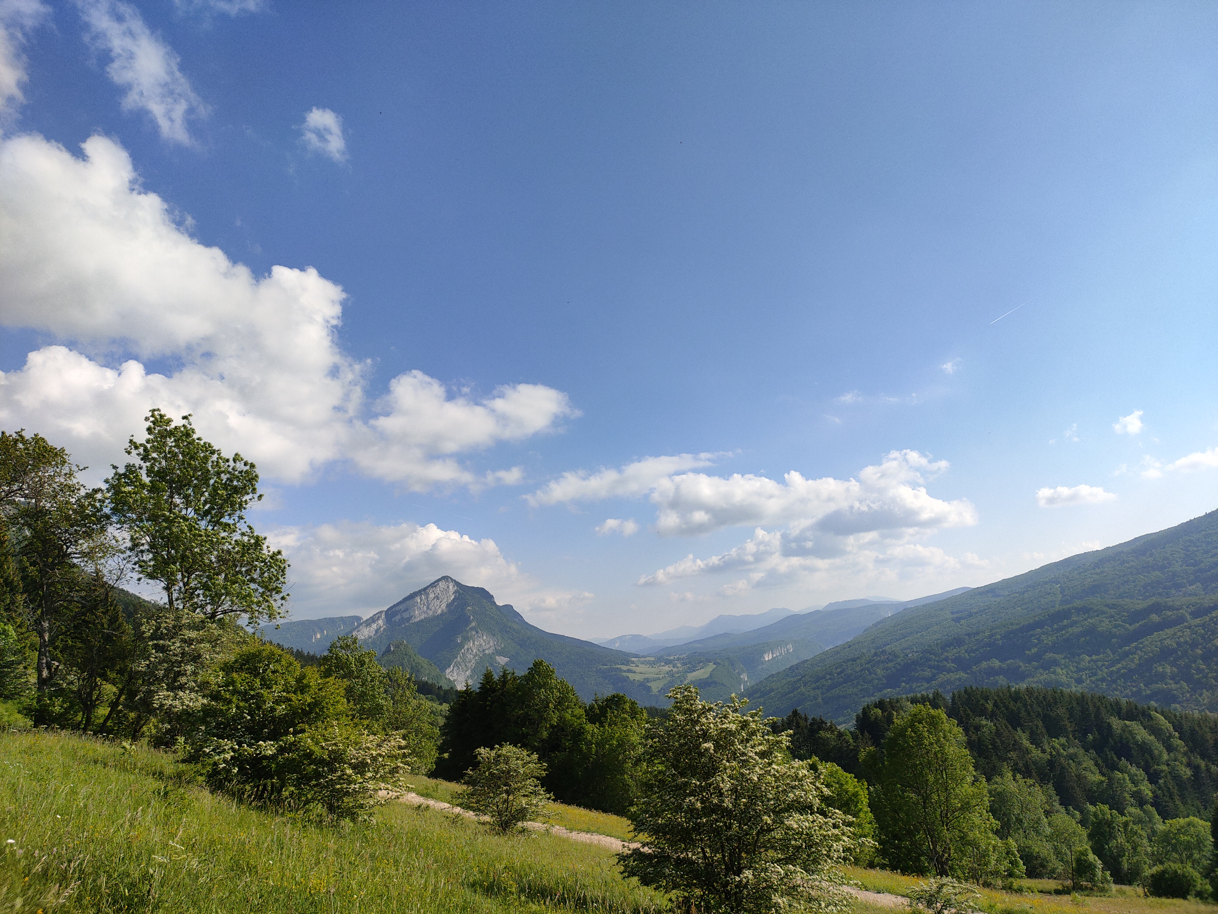 Img20210610180920