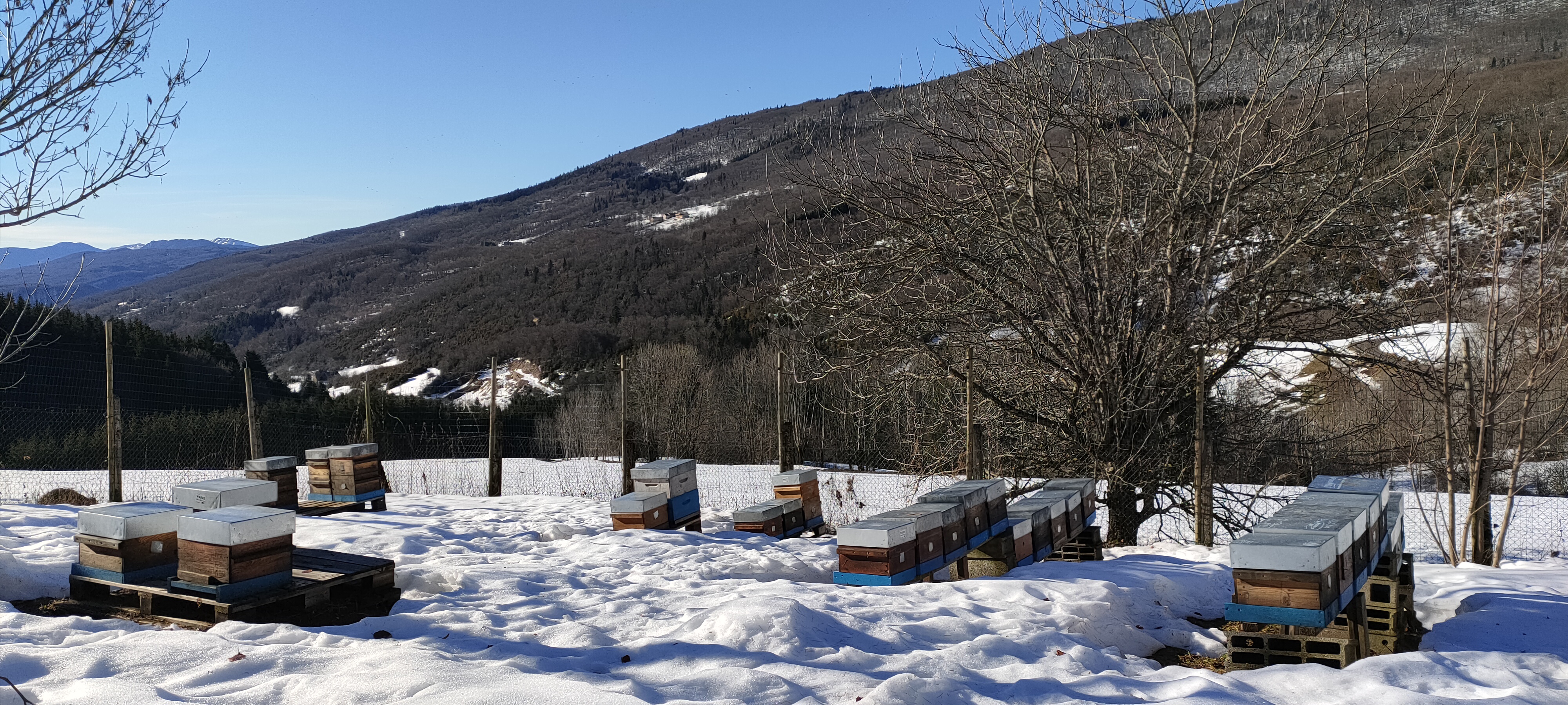 Img20211231113822