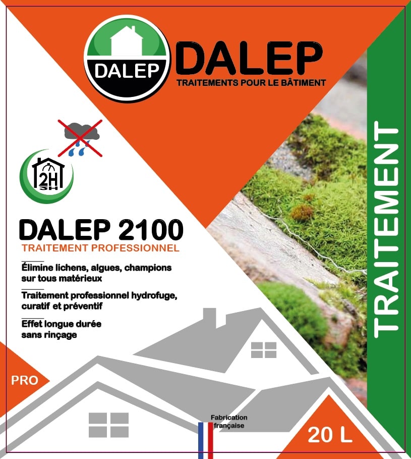 maquette graphique flyer dalep 2100 pour artisan du bâtiment traitement professionnel maxgraphiste