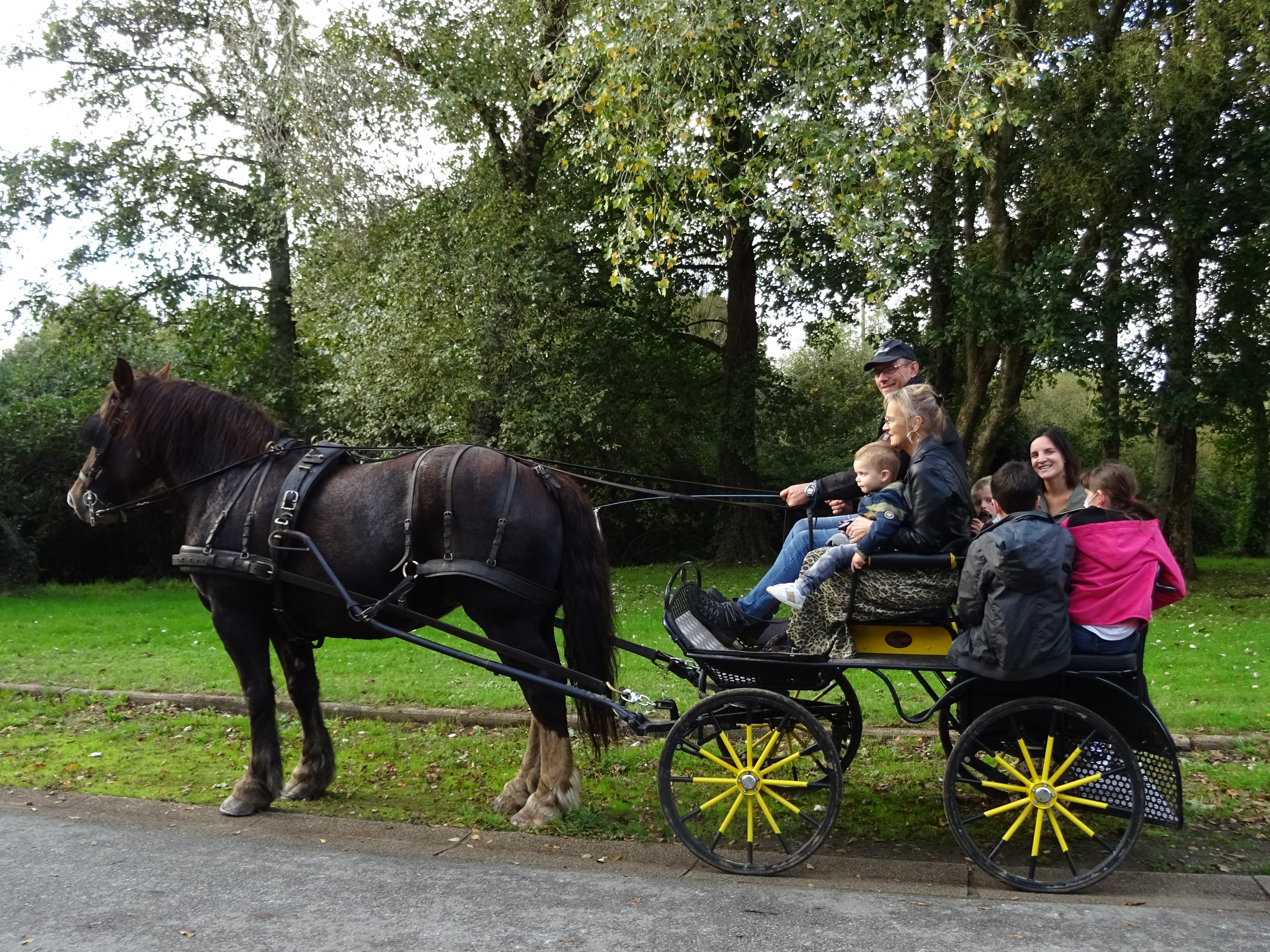 Cheval 24 10 2021 17 