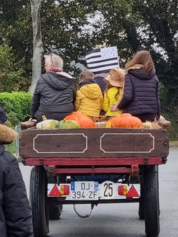 T 250119611 391569389346591 1504606174554870979 n