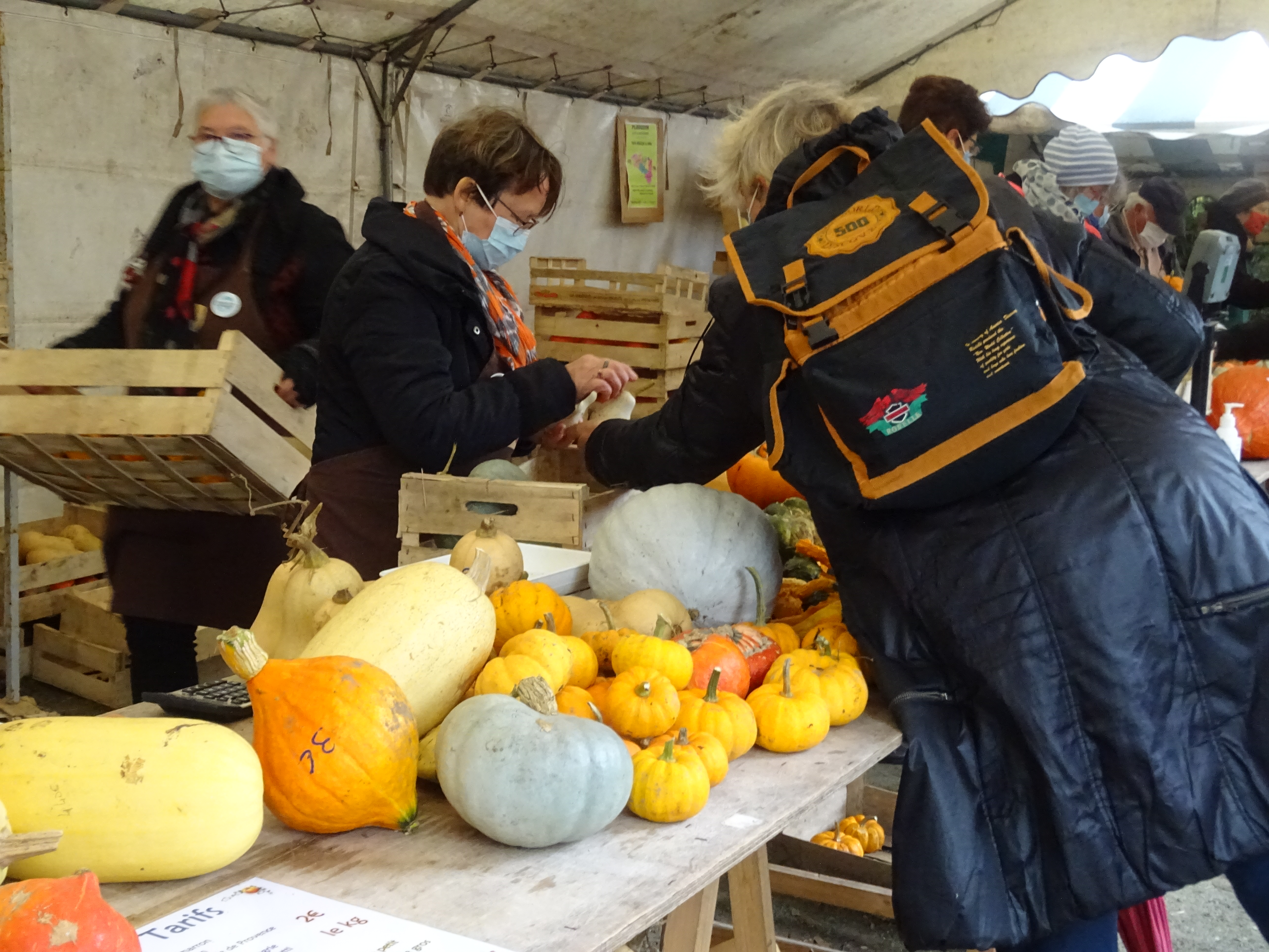 Vente de courges 24 10 2021 1 