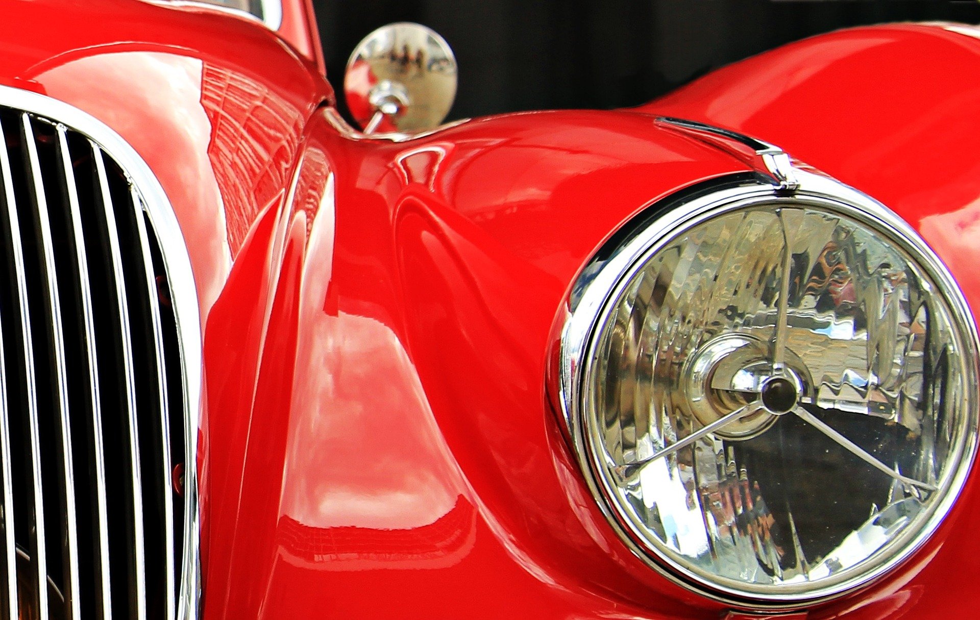 Jaguar-1576109 1920-1-
