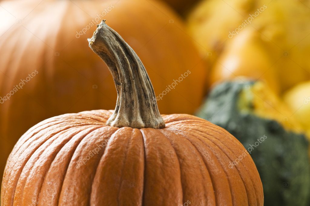Depositphotos 9025569-stock-photo-pumpkin
