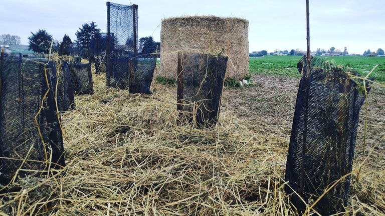 10 mars - Journée d'information - agriculteurs et élus des communes de la Dombes et du Val de Saône: