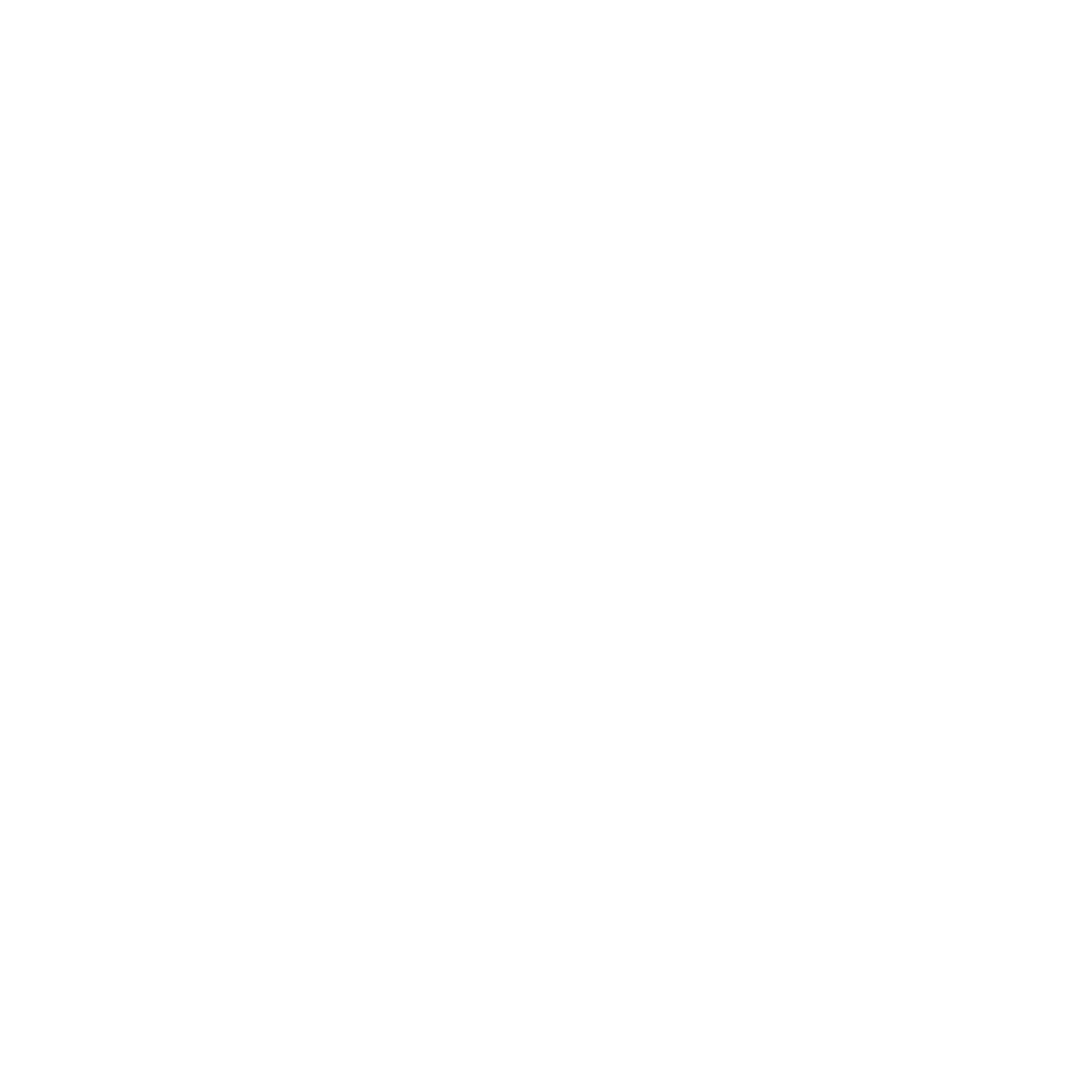 LOGO blanc png