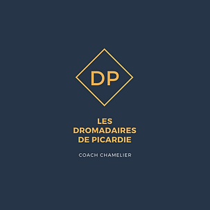 Logo les dromadaire de picardie bleu ave