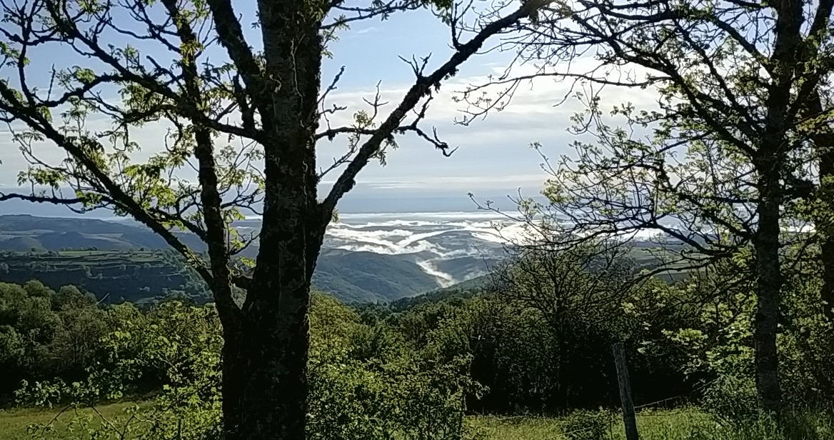 Paysage