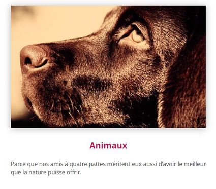 Animaux