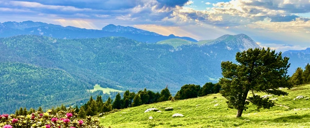 Vue-montagne-lus-c-ingelbach-naturopathe