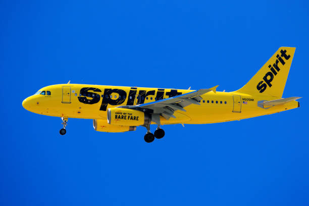 Spirit book flight