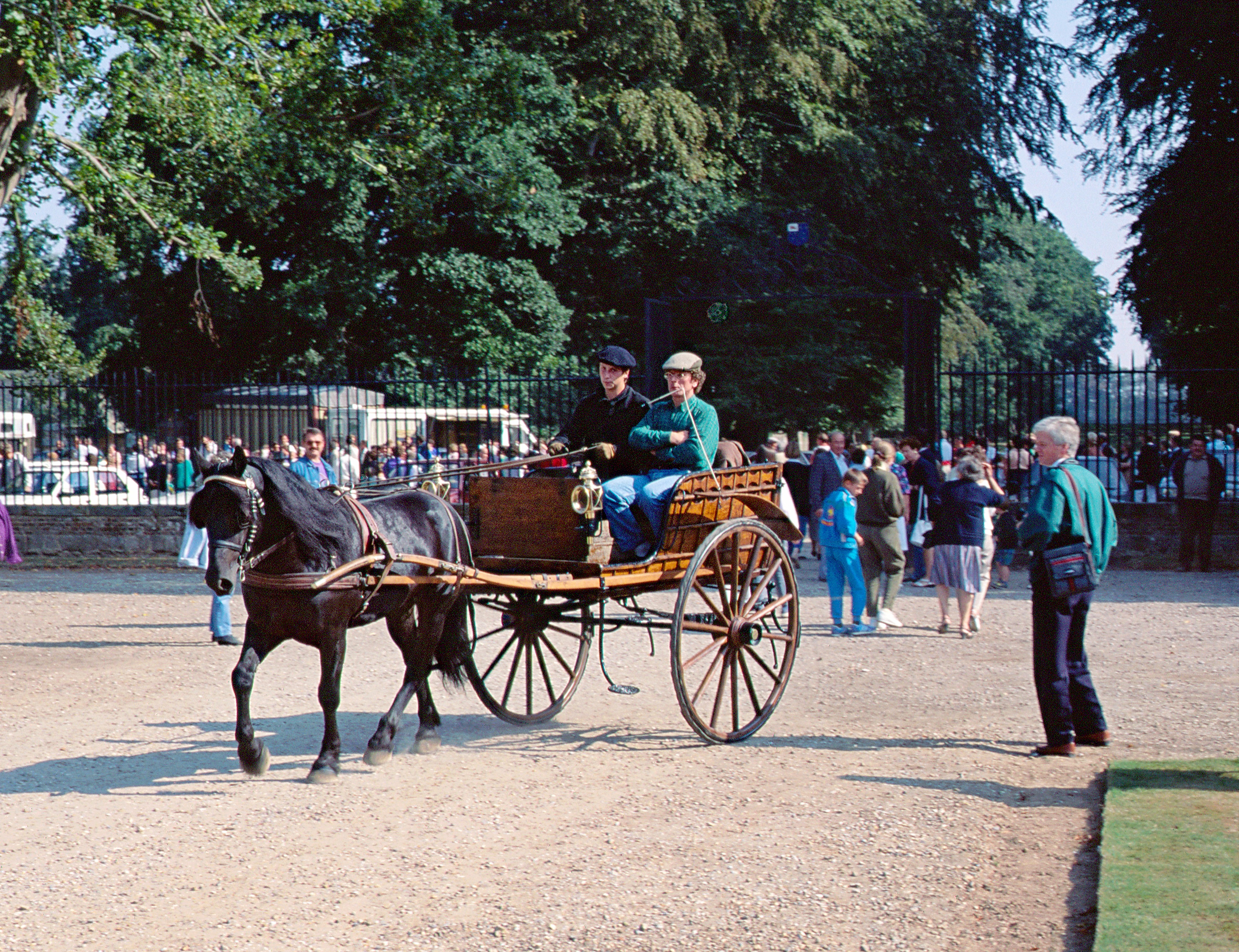 Voiture-2-roues-1-cheval-Galleville-web-06