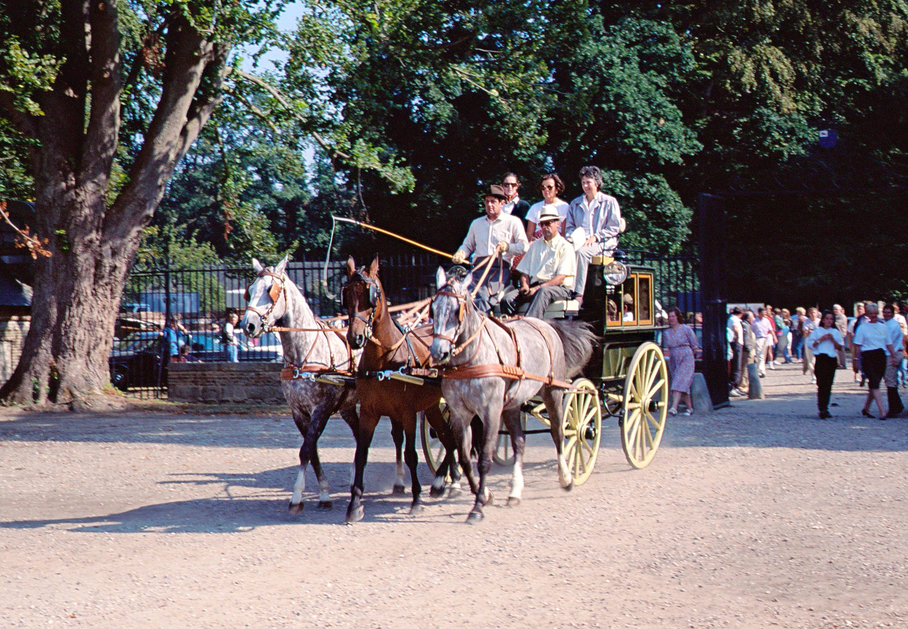 Voiture-a-cheval-4-roues-fermee-Galleville-web