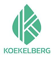 Logo-koek