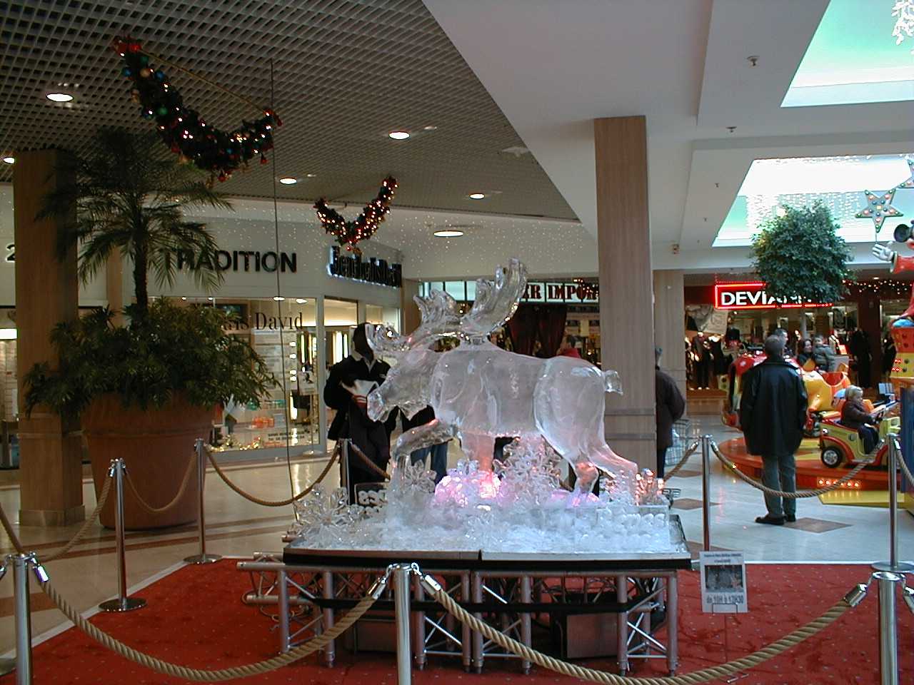 Glace 08
