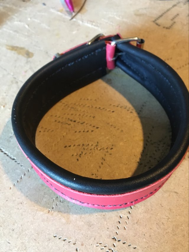 275714081 483096049972425 3300713956390503607 n