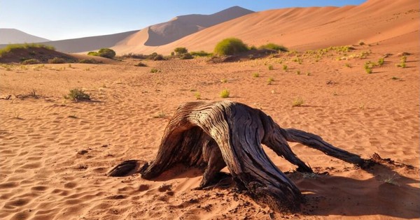 Le fils sacrifié