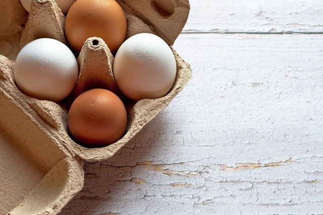 Le champ des proyers, oeufs frais, poulets, champignons