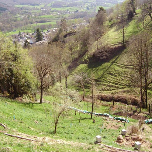 Palhas-cantal-450x500