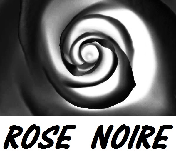 Logo-rose-noire-grand