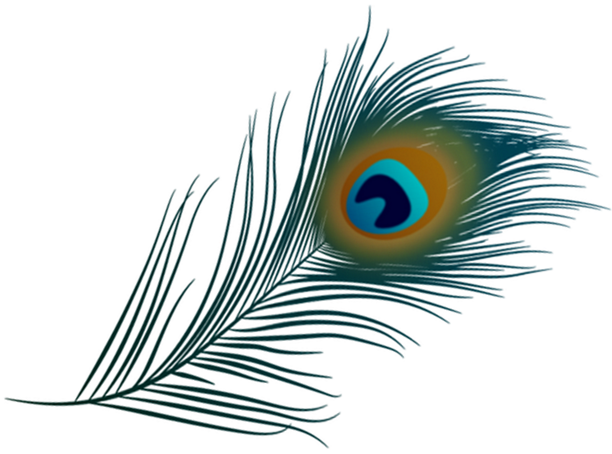Plume-paon-2-