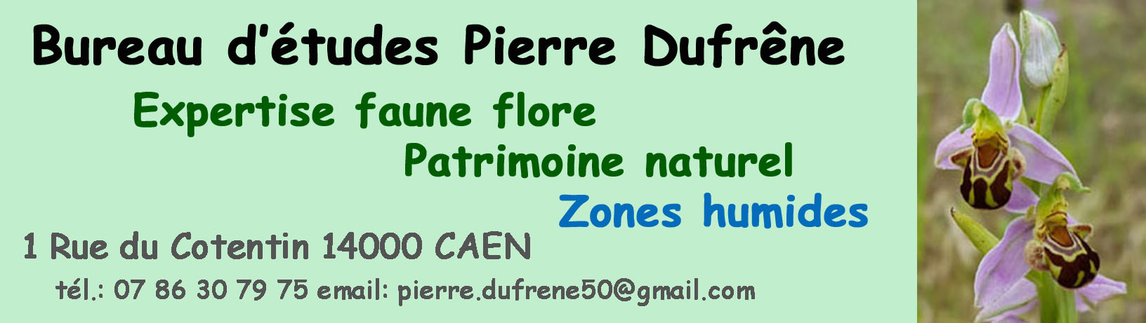 Entete-BE-PDu