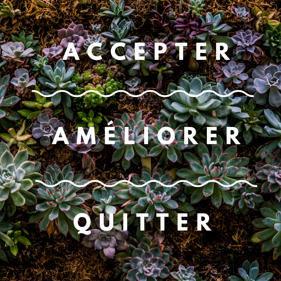 Accepter - Améliorer - Quitter