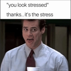 Le stress