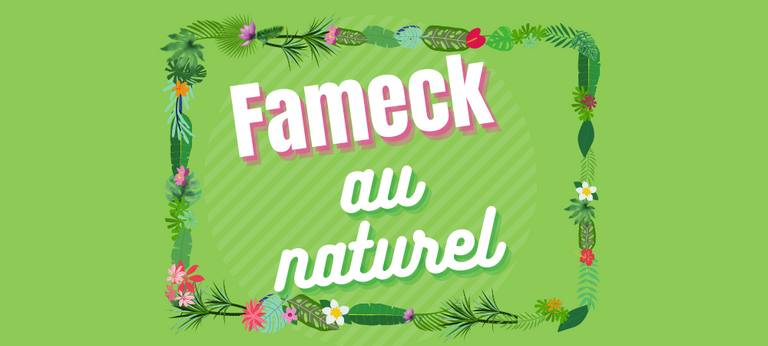 Fameck au naturel