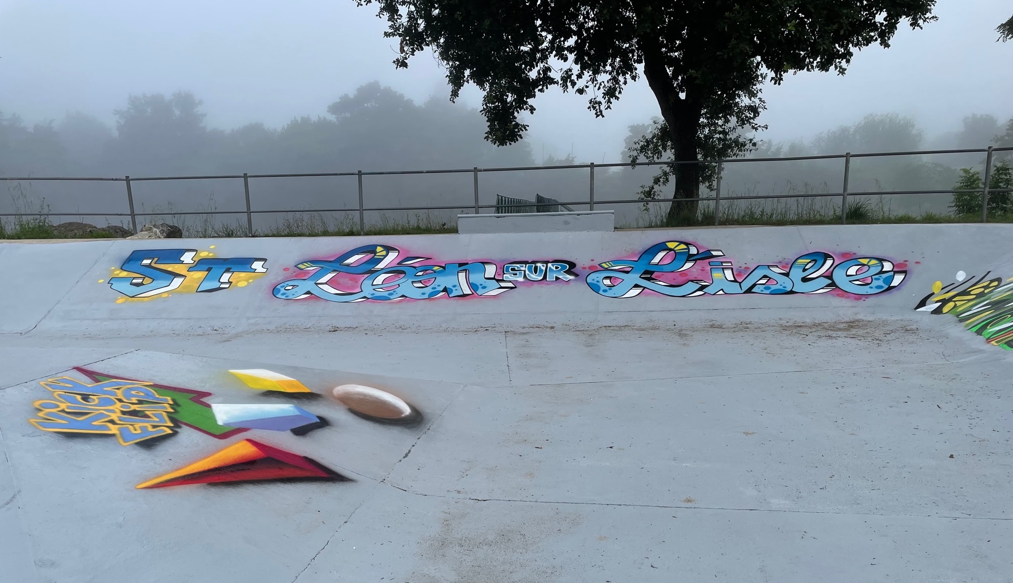 Skate-st-leon